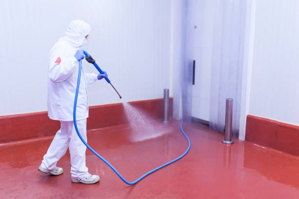 Best Roof Washing  in Red Bluff, CA